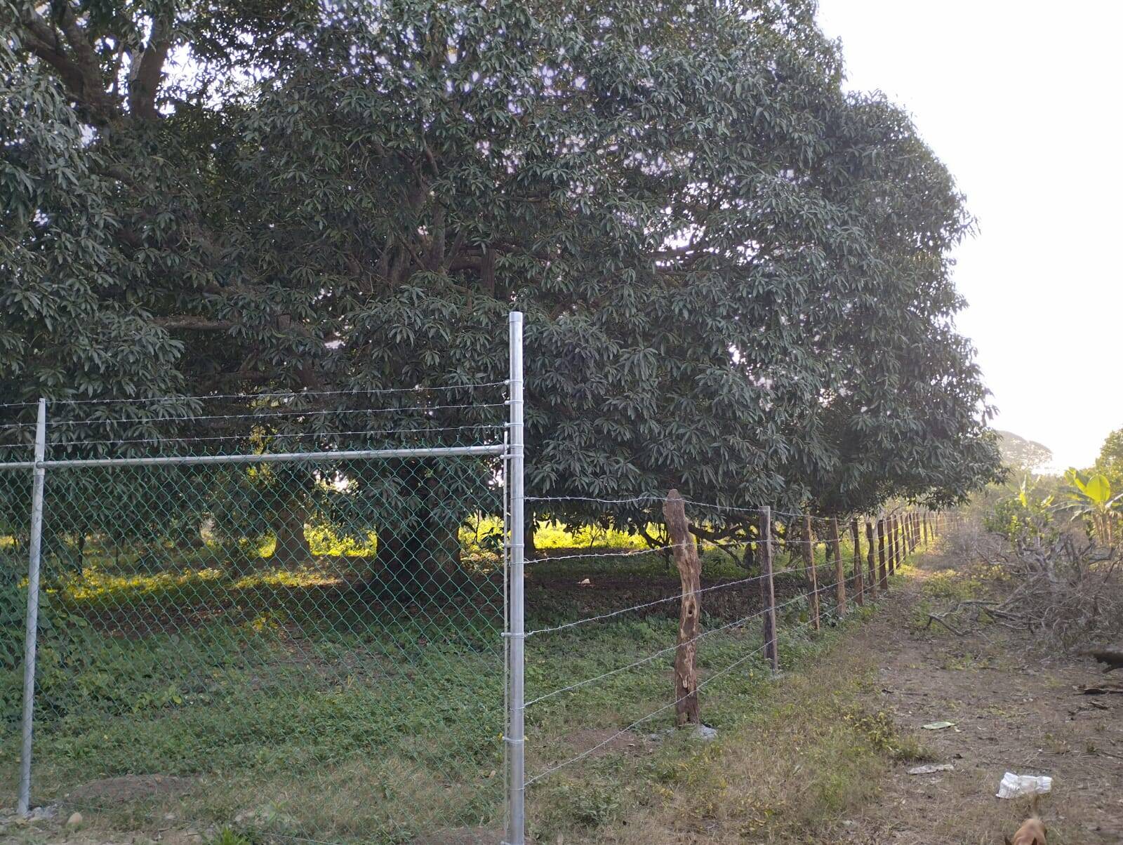 #TV-3291 - Terreno para Venta en Túxpam - VZ