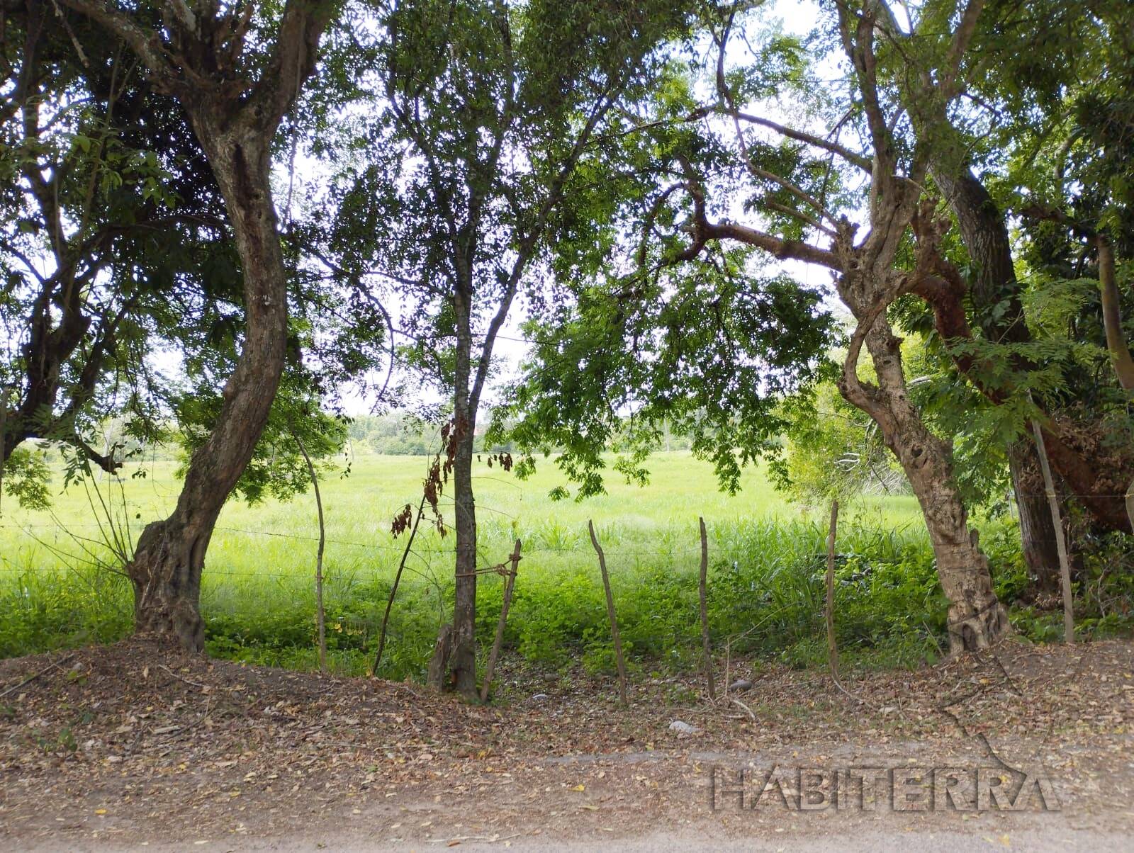 #TV-3359 - Terreno para Venta en Túxpam - VZ