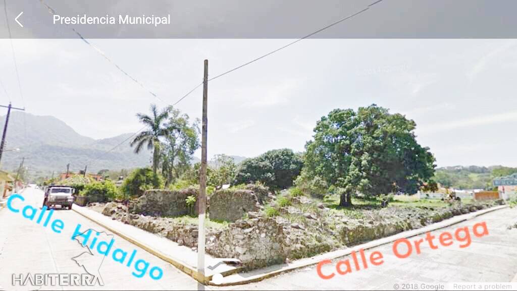 #TV-3414 - Terreno para Venta en Tantima - VZ