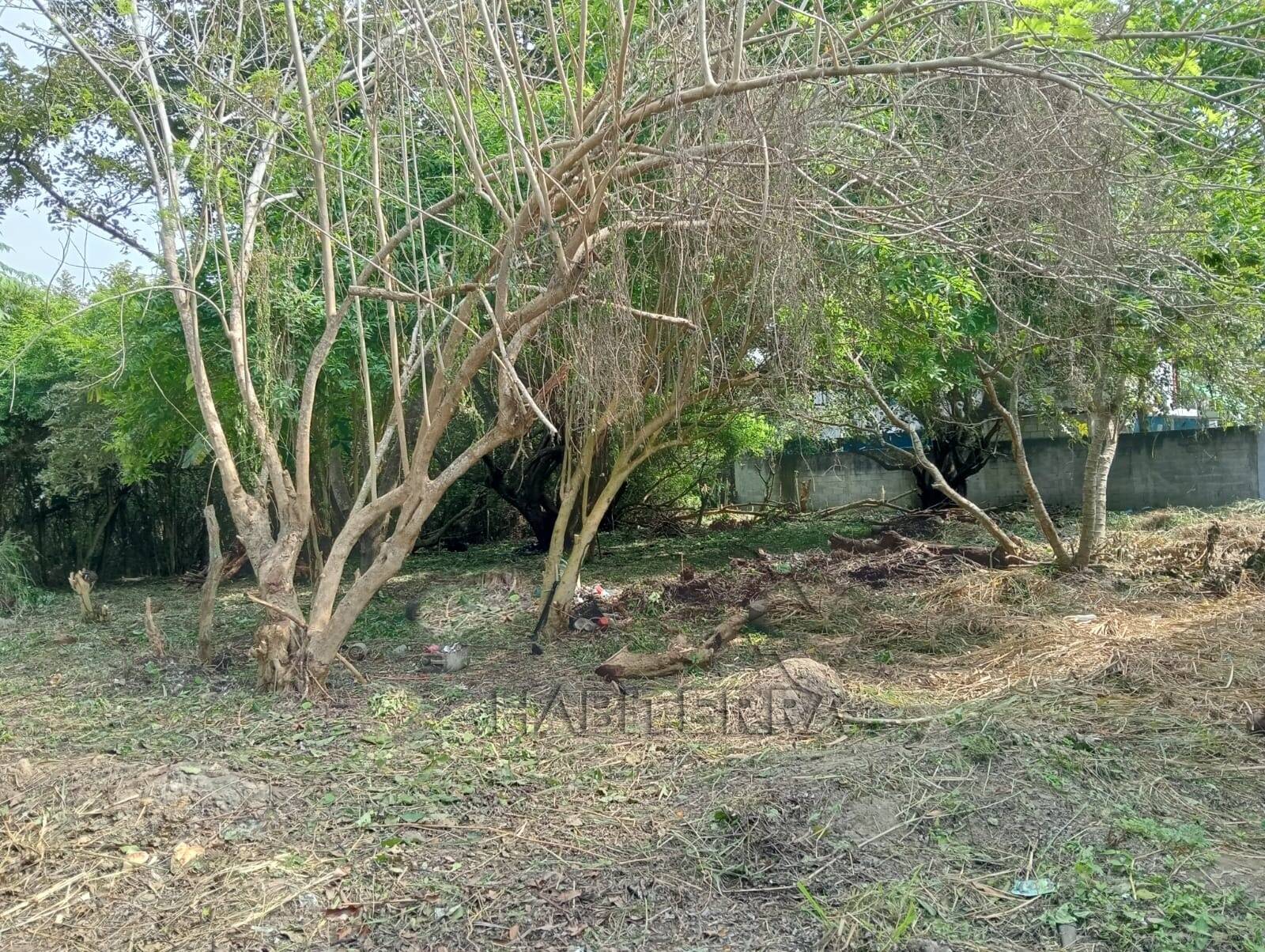 #TV-3462 - Terreno para Venta en Túxpam - VZ