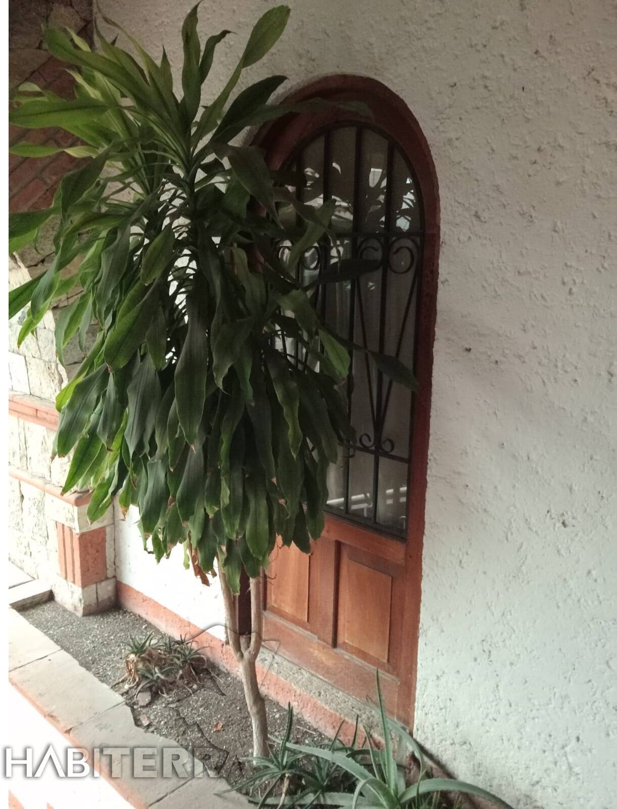 #DR-3494 - Departamento para Renta en Túxpam - VZ