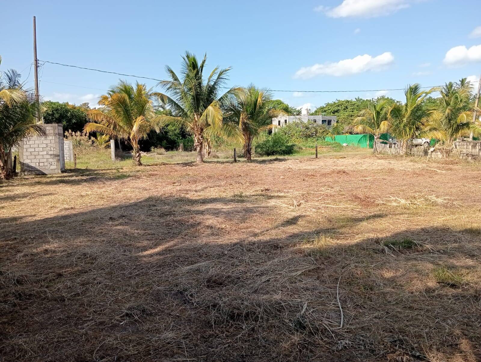 #TV-3505 - Terreno para Venta en Túxpam - VZ