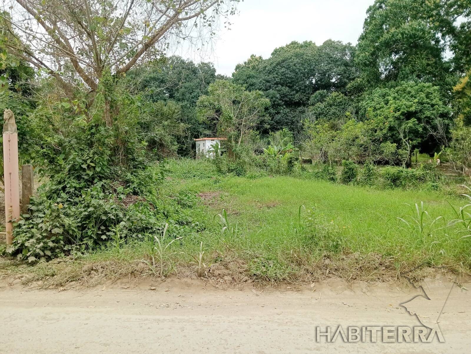 #TV-3515 - Terreno para Venta en Túxpam - VZ