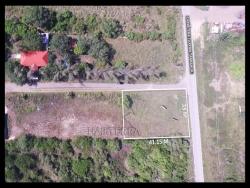 #TV-1821 - Terreno para Venta en Túxpam - VZ