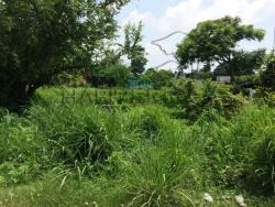 #TV-1809 - Terreno para Venta en Túxpam - VZ