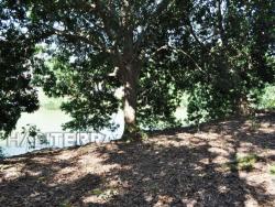 Terreno para Venta en Túxpam - 3