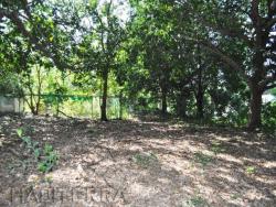 Terreno para Venta en Túxpam - 4
