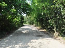 Terreno para Venta en Túxpam - 5