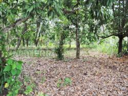 Terreno para Venta en Túxpam - 3