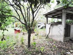 Terreno para Venta en Túxpam - 4