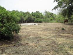 Terreno para Venta en Túxpam - 4