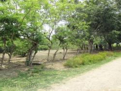 Terreno para Venta en Túxpam - 2