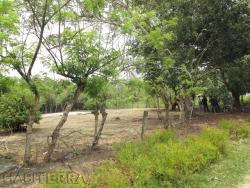 Terreno para Venta en Túxpam - 3