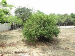Terreno para Venta en Túxpam - 5