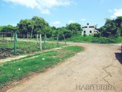 #TV-2041 - Terreno para Venta en Túxpam - VZ