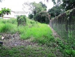 #TV-2091 - Terreno para Venta en Túxpam - VZ