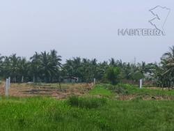 Área para Venta en Túxpam - 5