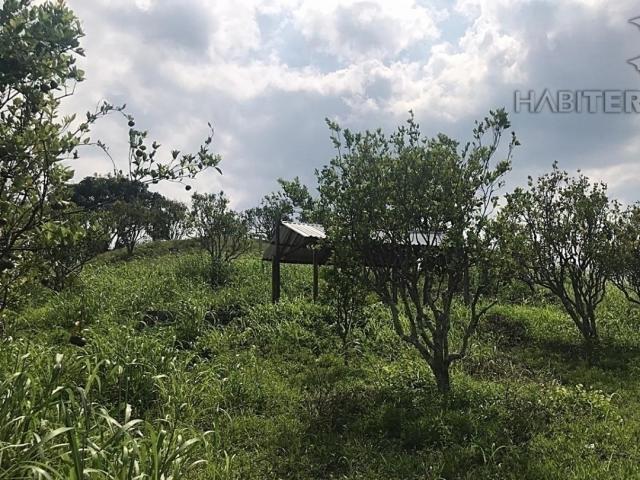 Área para Venta en Túxpam - 4