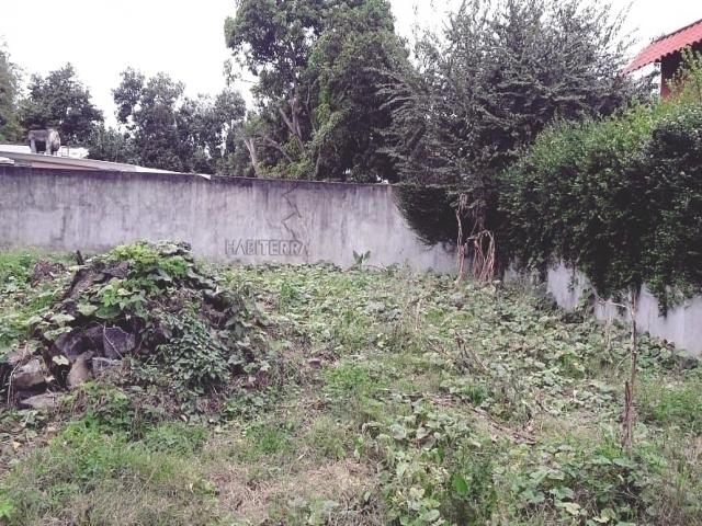 Área para Venta en Túxpam - 4