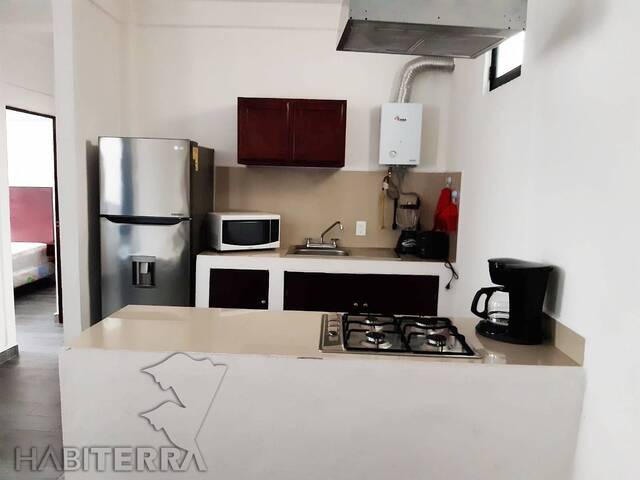 Departamento para Renta en Túxpam - 5