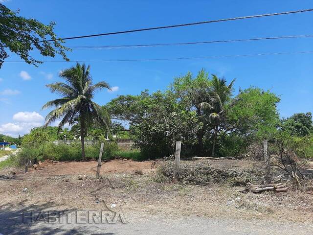 Terreno para Venta en Túxpam - 4