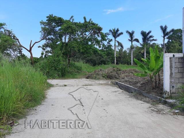 #TV-3118 - Terreno para Venta en Túxpam - VZ