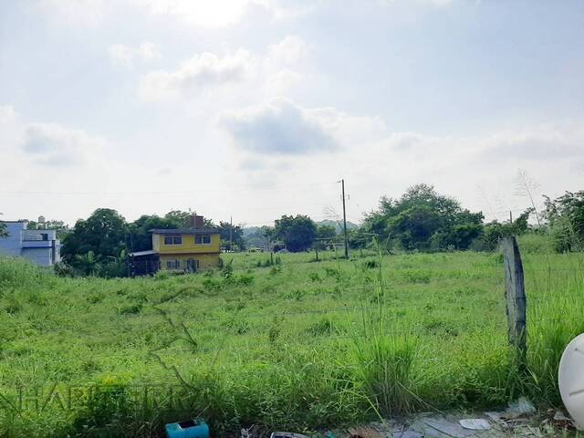 Terreno para Venta en Túxpam - 3
