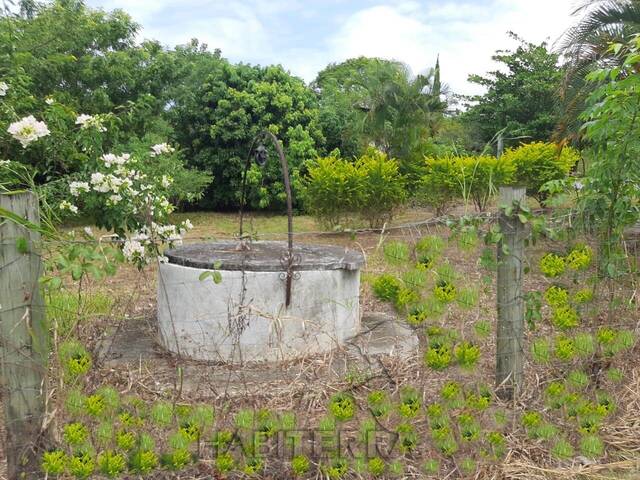Terreno para Venta en Túxpam - 5