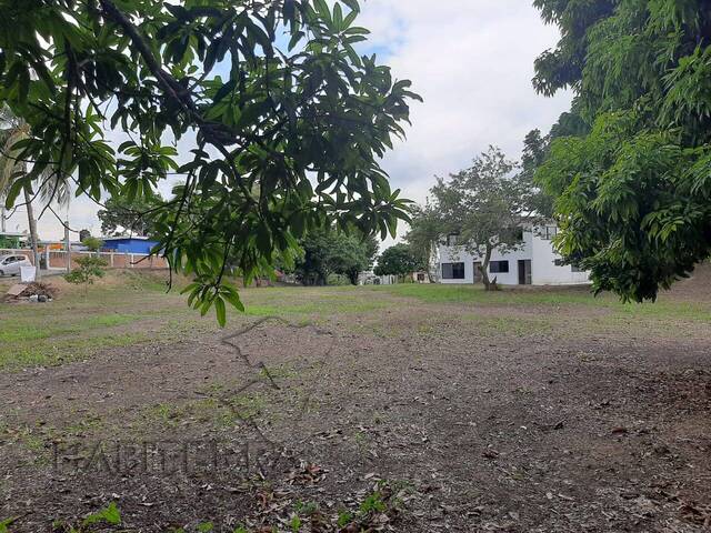 Terreno para Renta en Túxpam - 4