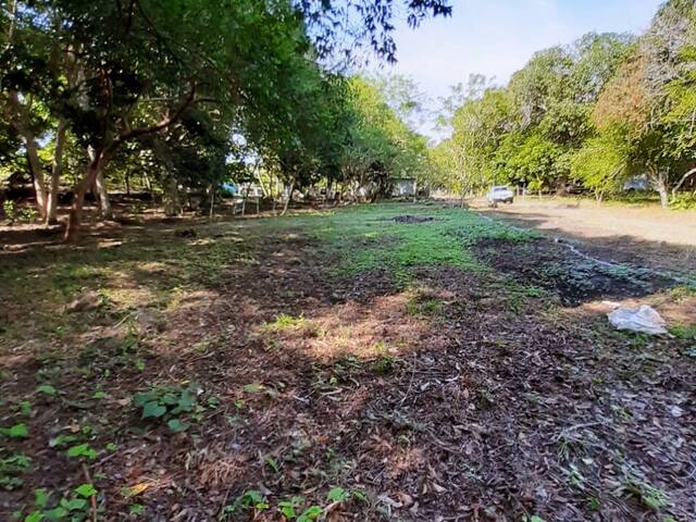 #TV-3138 - Terreno para Venta en Túxpam - VZ