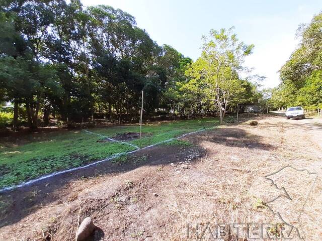 Terreno para Venta en Túxpam - 4