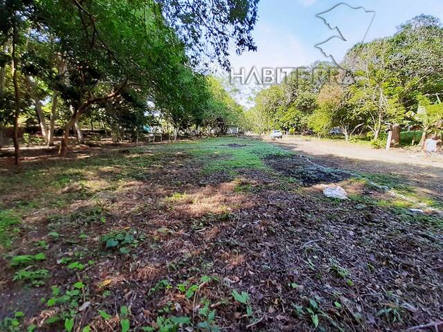 #TV-3138 - Terreno para Venta en Túxpam - VZ