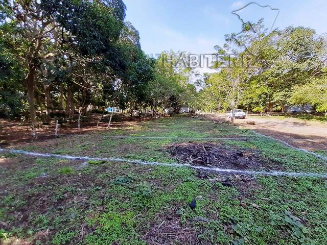 #TV-3139 - Terreno para Venta en Túxpam - VZ