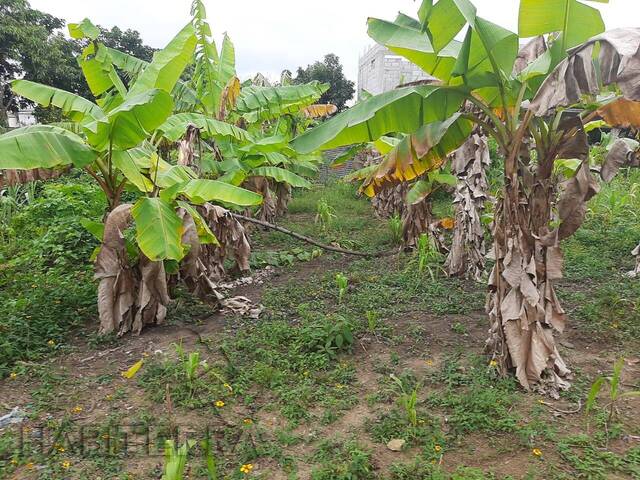 Terreno para Venta en Túxpam - 5