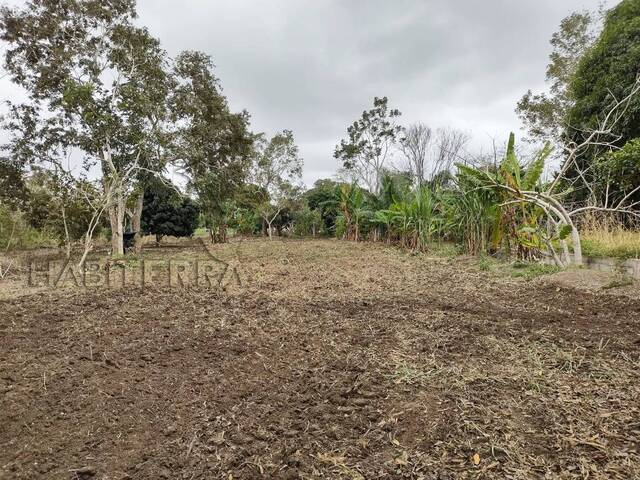 Área para Venta en Túxpam - 5