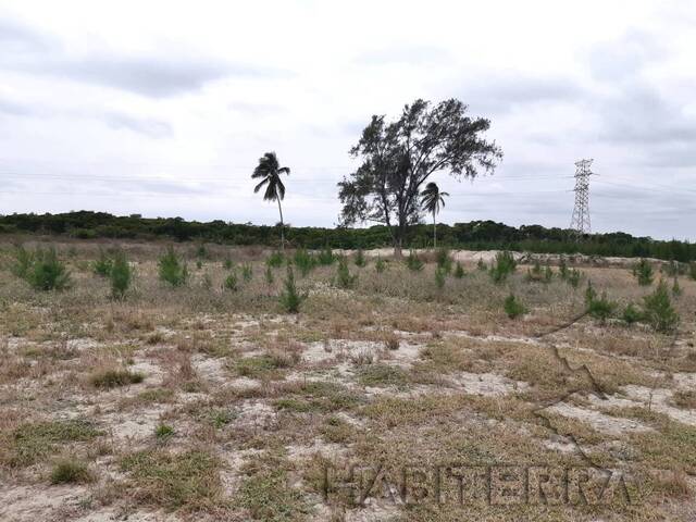 Terreno para Renta en Túxpam - 5
