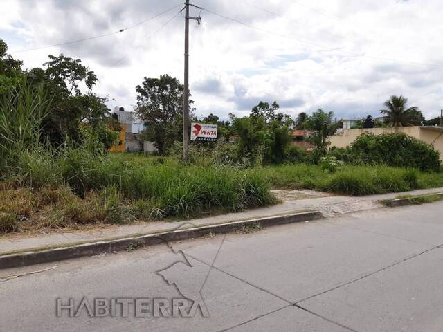 #TV-3124 - Terreno para Venta en Túxpam - VZ