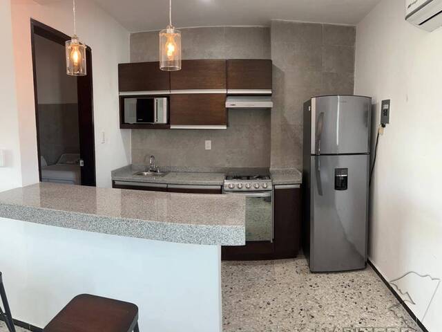 Departamento para Renta en Túxpam - 3
