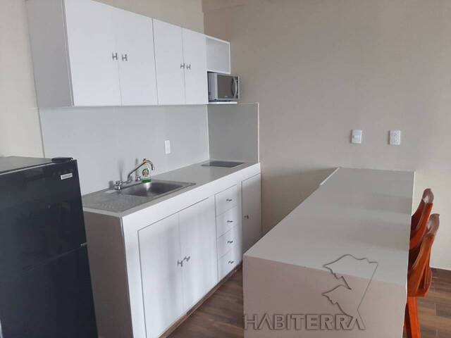 Departamento para Renta en Túxpam - 5