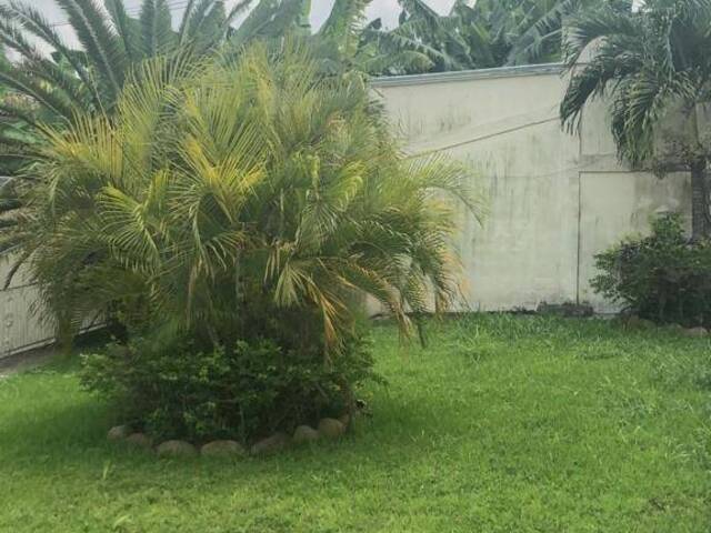 Casa para Renta en Túxpam - 4