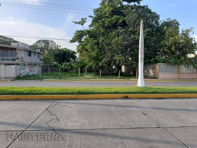 #TR-3224 - Terreno para Renta en Túxpam - VZ
