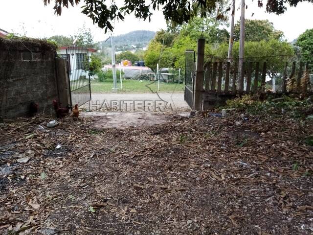 Terreno para Venta en Cerro Azul - 4