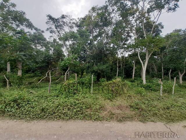 Terreno para Venta en Túxpam - 4