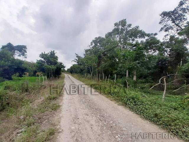 #TV-3257 - Terreno para Venta en Túxpam - VZ - 1