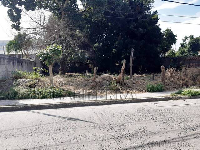 #TV-3258 - Terreno para Venta en Túxpam - VZ - 2