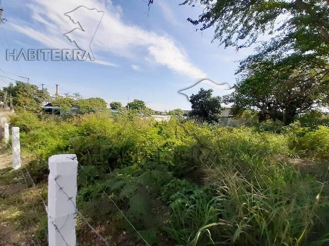 Terreno para Venta en Túxpam - 4