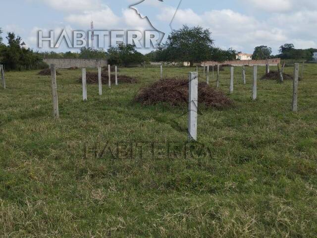 Terreno para Venta en Túxpam - 4