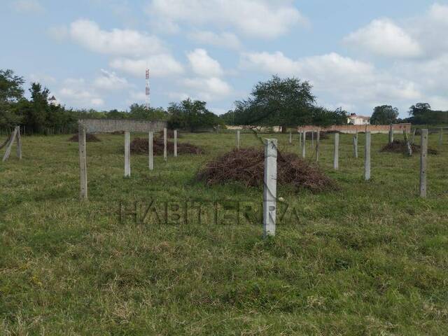 Terreno para Venta en Túxpam - 5