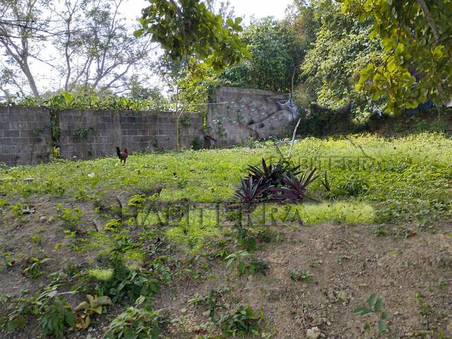 Terreno para Venta en Túxpam - 4