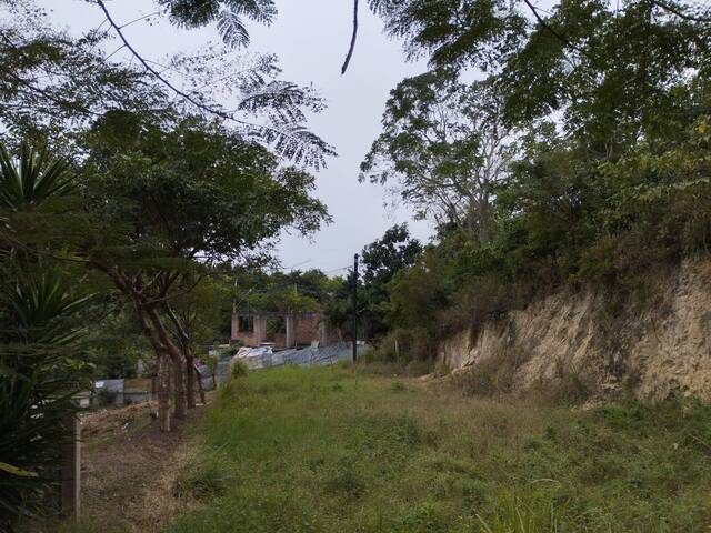 Terreno para Venta en Túxpam - 4